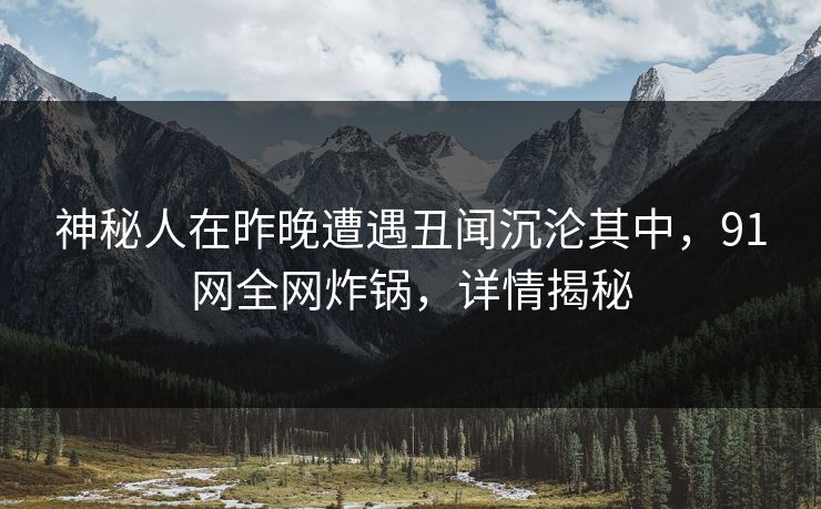 神秘人在昨晚遭遇丑闻沉沦其中，91网全网炸锅，详情揭秘