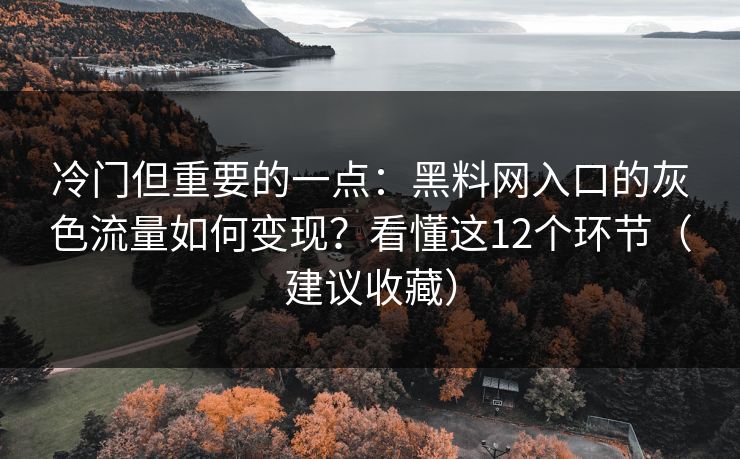 冷门但重要的一点：黑料网入口的灰色流量如何变现？看懂这12个环节（建议收藏）