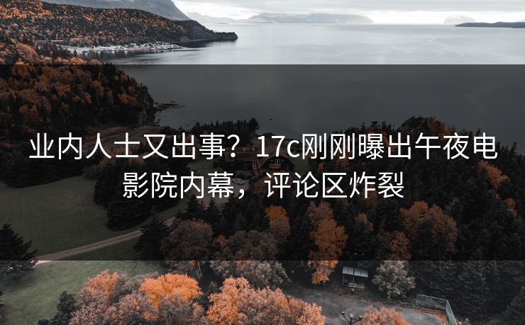 业内人士又出事？17c刚刚曝出午夜电影院内幕，评论区炸裂
