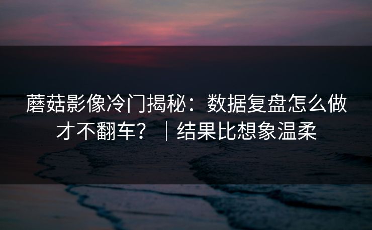 蘑菇影像冷门揭秘:数据复盘怎么做才不翻车?|结果比想象温柔 蘑菇影像冷门揭秘:数据复盘怎么做才不翻车?|结果比想象温柔